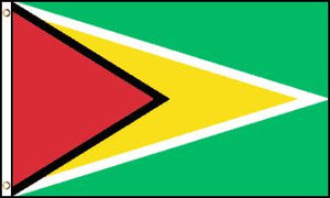 Guyana Waterproof Flag
