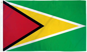 Guyana Waterproof Flag