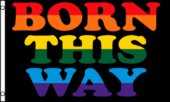 Born This Way Ultra Breeze Flag