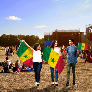 Senegal Flag