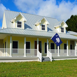South Carolina Flag