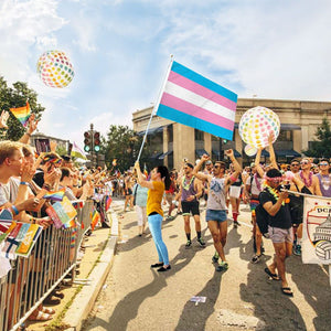 Transgender Flag