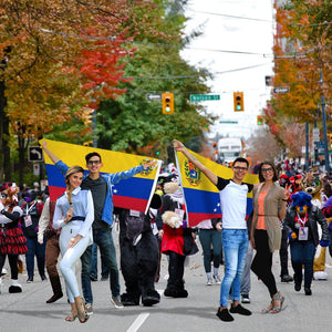 Venezuela Flag