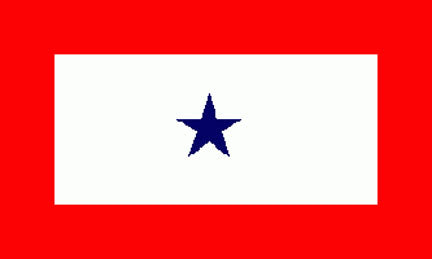 Military flags-Blue Star Service Flag 3x5ft