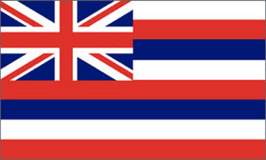 Hawaii state flag 3x5 ft - US state Flags