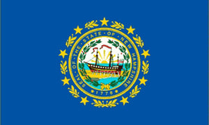 New Hampshire state flag 3x5 ft - US state Flags