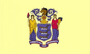 New Jersey state flag 3x5 ft - US state Flags