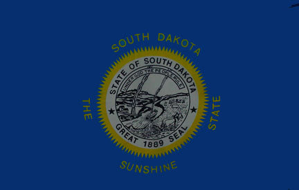 South Dakota state flag 3x5 ft - US state Flags