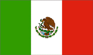 Mexico flag 3x5 ft - International Flags